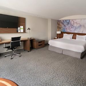 Suite de 1 Dormitorio y Cama King